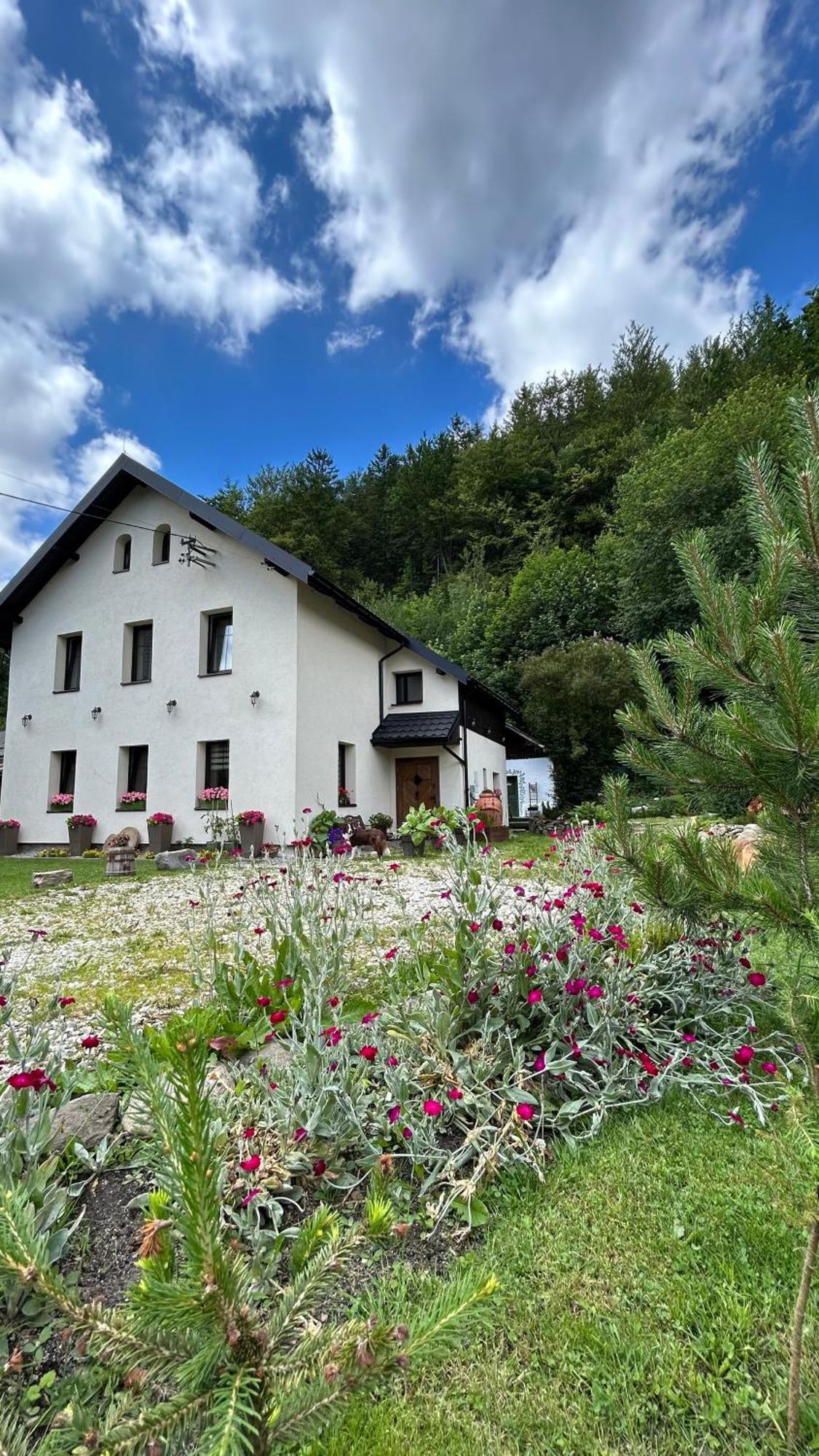 Apartamenty Goszowianka Строне-Шльонське Екстер'єр фото