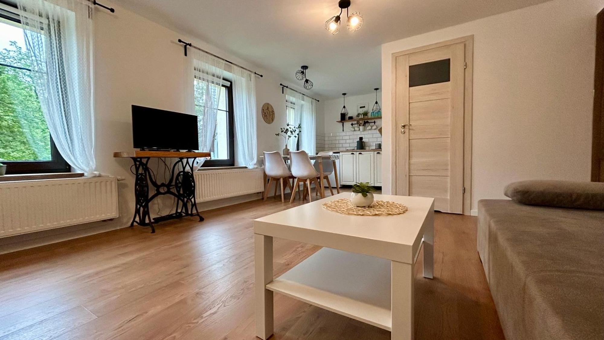 Apartamenty Goszowianka Строне-Шльонське Екстер'єр фото