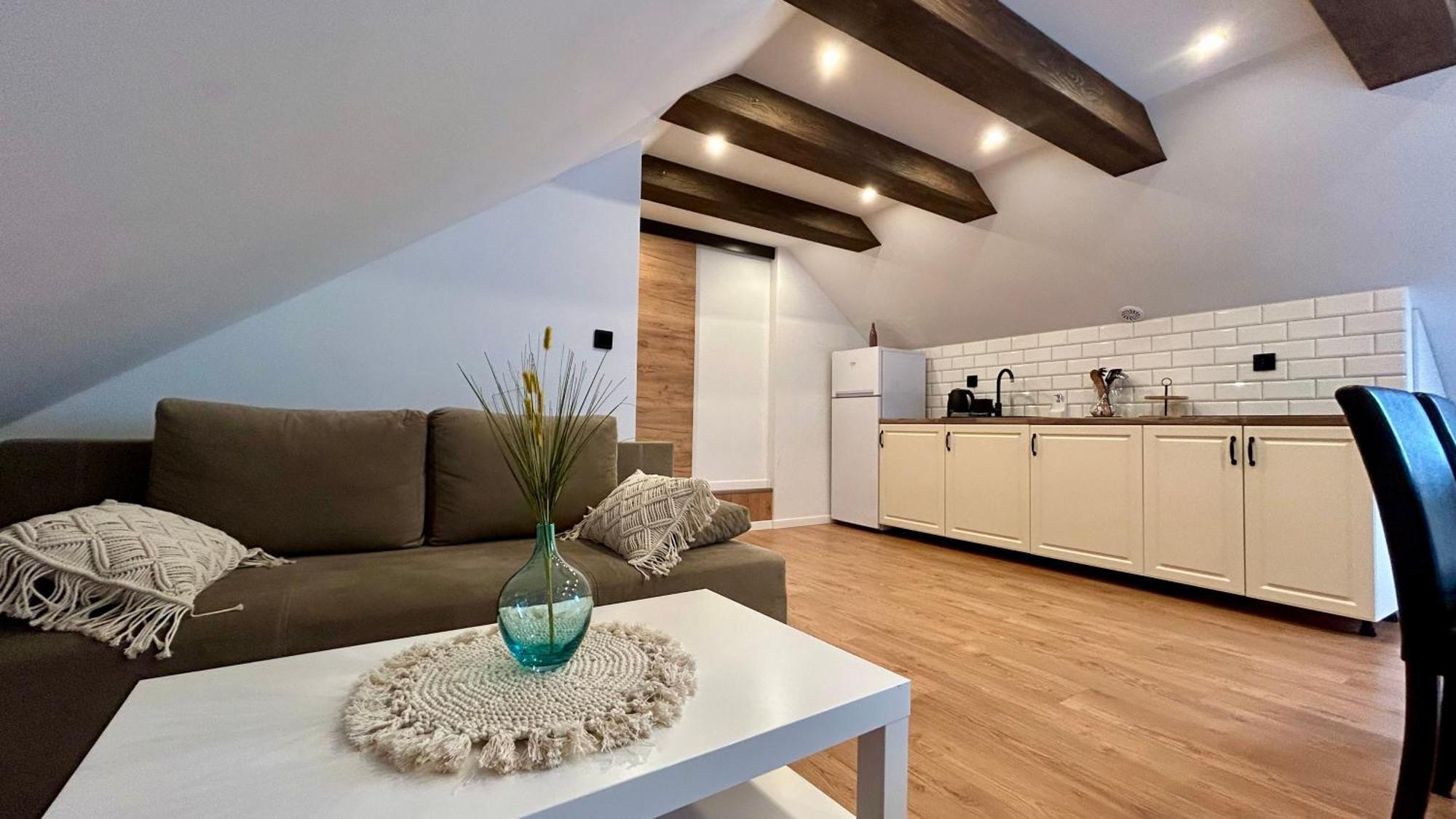 Apartamenty Goszowianka Строне-Шльонське Екстер'єр фото
