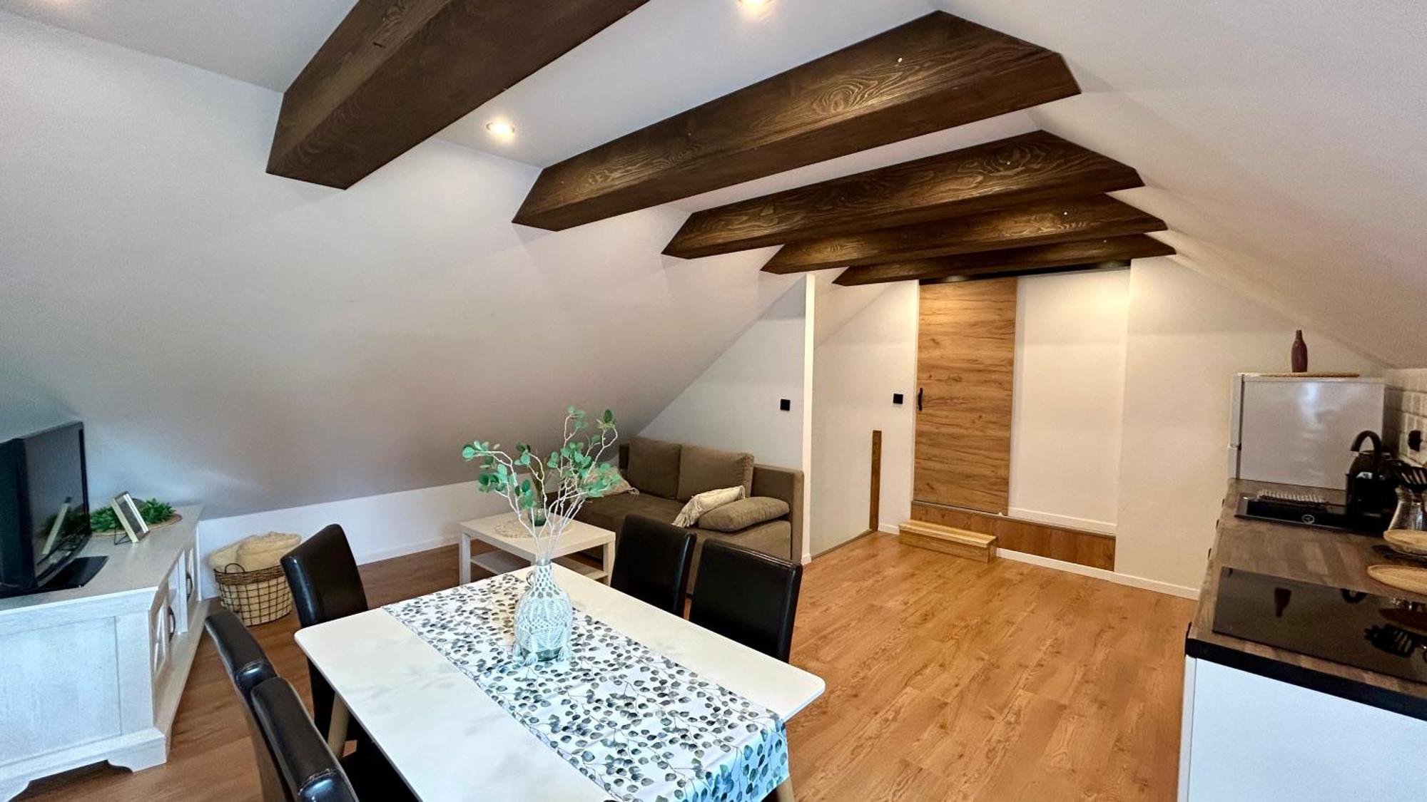 Apartamenty Goszowianka Строне-Шльонське Екстер'єр фото