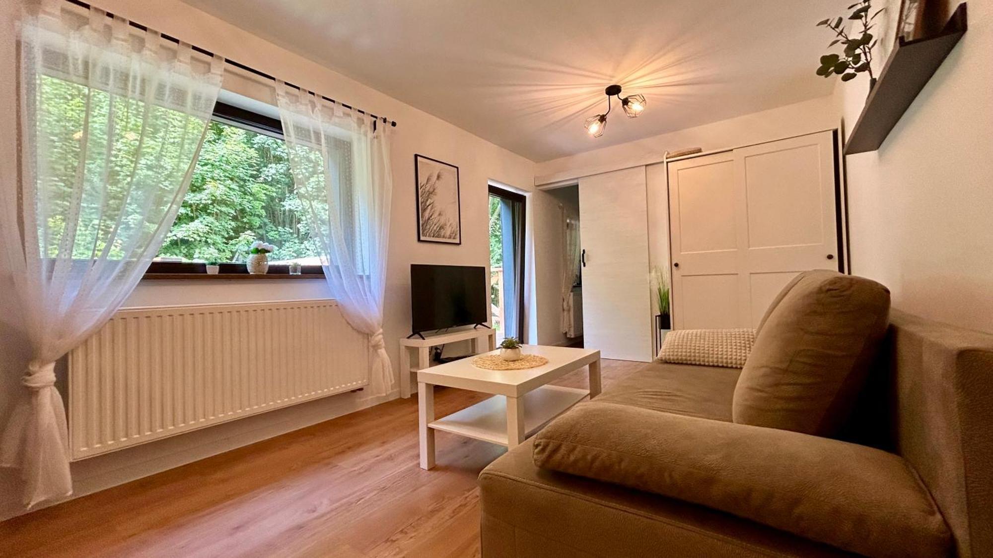 Apartamenty Goszowianka Строне-Шльонське Екстер'єр фото